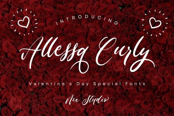 Allessa Curly: A Designer's Review for Branding